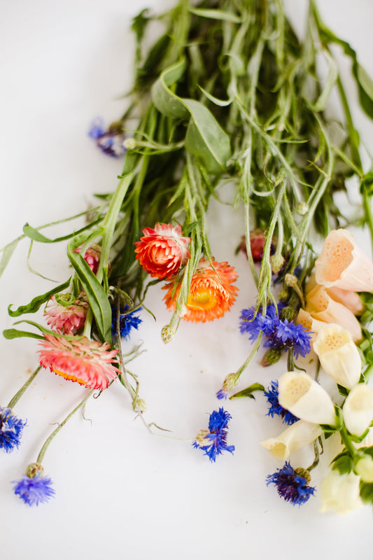 Cutting Flowers To Start Growing Now