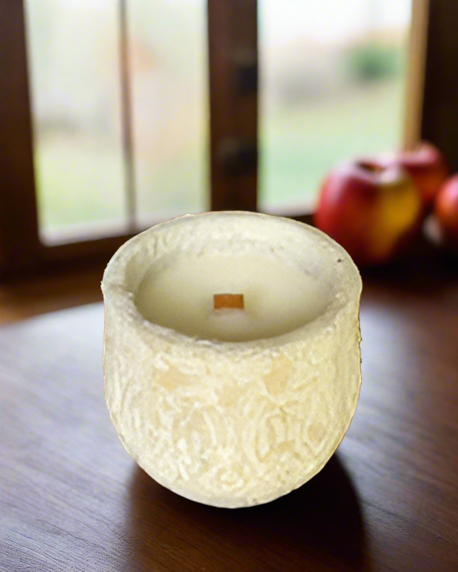 Everything Dawn Candle Fresh Apple and Spice Home Candle