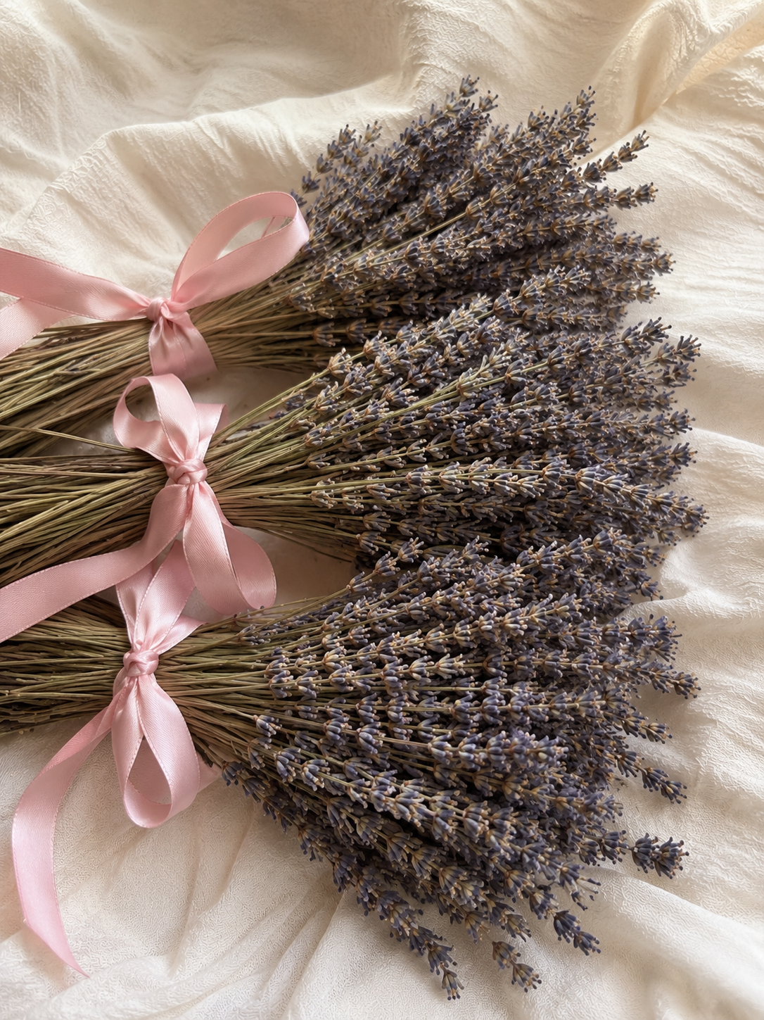 Everything Dawn Dried Lavender Bunch