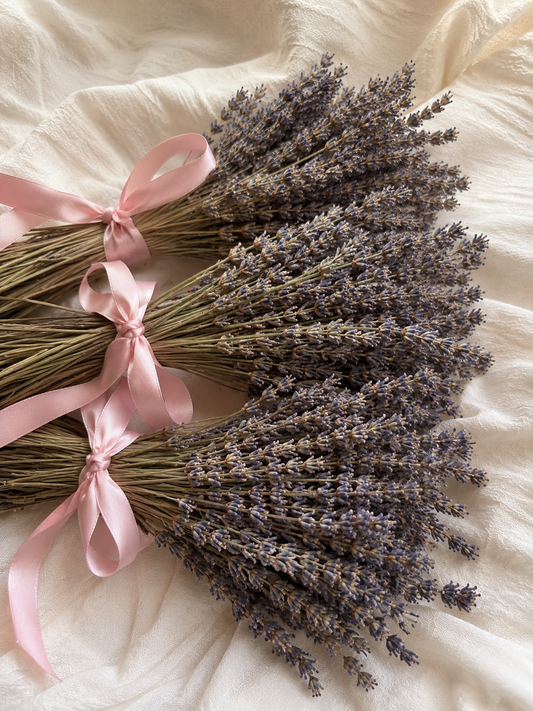 Everything Dawn Dried Lavender Bunch