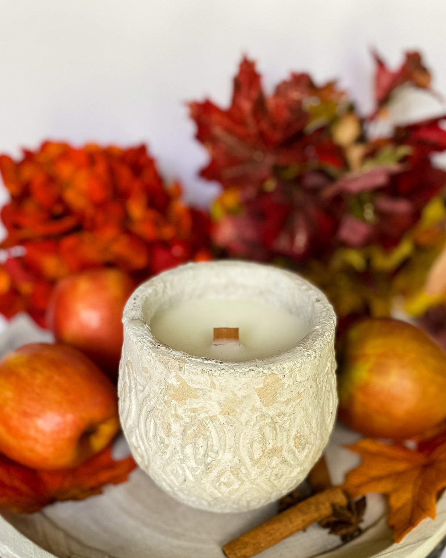 Everything Dawn Candle Fresh Apple and Spice Home Candle